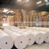 Jumbo Roll,Plotter,Format Inkjet Photo Paper in All Kinds