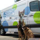 Polymeric Adhesive Textured Vinyl