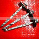 Egypt Market Twisted Nails thumbnail-5