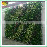 Customized All Kinds of Artificial Green Wall Artificial Plant Wall Quality Choice thumbnail-5