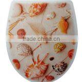 Urea Formaldehyde Toilet With Beautiful Applique Cover thumbnail-3