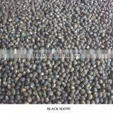 Black Mapte Bean thumbnail-1