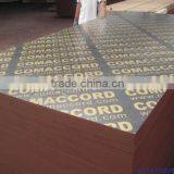 Brown & Black Film Faced Plywood thumbnail-1