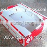 Corrugated Plastic Fruit and Vegertable Box Carton