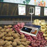 30kg*5g Price Computing Scale With Pole