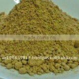 Mango Powder thumbnail-1