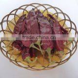 Chinese ISO , HACCP, HALAL Certificates High Purity Water Washed Paprika For Mexico Market thumbnail-2