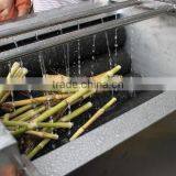 Automatic Fish Scale Peeling Machine thumbnail-4