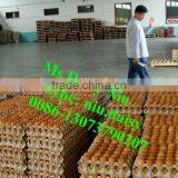 Automatic Egg Weighing Grading Machine/egg Grading Packing Machine/egg Grader for Packing thumbnail-6