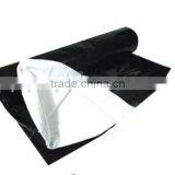 Black and White Panda Film thumbnail-1