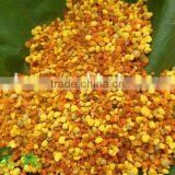 Sweet Clean Colorful Mixed Pollen Export to EU thumbnail-1