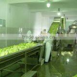 Custom Design Fruit And Vegetable Processing Line Machines thumbnail-1