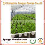 No Need Fertilizer Save Soil Green Planting Hydroponic Foam Odorless Growing Sponge thumbnail-4