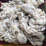 Sheep Wool / Raw Wool / Animal Hair ( Washed ) thumbnail-1