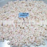 PUD Deep Sea Shrimps thumbnail-4