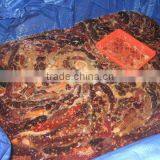 Sea Cucmber thumbnail-1