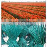 Round Bamboo Sticks thumbnail-1