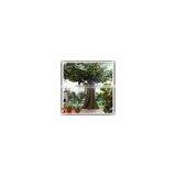 Factory Large Indoor Decor Artificial Fake Plastic Fiberglass Trees thumbnail-4