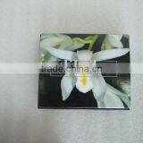 5 Pearls Set of Wish Pearl and Love Pearl Gift Jewelry (black Box) English Version thumbnail-1