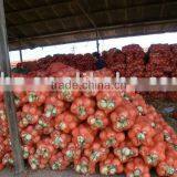 Onion Mesh Bags,shinny Color! Good Strength! Competitive Prices! thumbnail-1