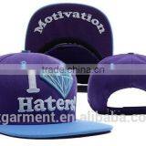 ZXcustomize Plain Snapback Hats