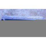 Sell Cast Iron Radiator thumbnail-1