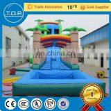 Hot Selling Giant Sale Large Water Slide Inflatable Toy for Fun thumbnail-3