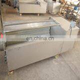 Supermarket Use Electric Kiwi Fruit Washing Machine/Carrot Washer/Carrot Cleaning Machine thumbnail-5