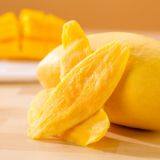 Mango Slice Drying Machine thumbnail-5