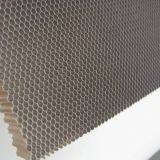 Surface Wood Pattern / Polyester Aluminum Honeycomb Sheet Conference Room / Hospital thumbnail-1