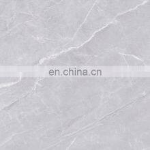 Персональные антискользящие серые керамические плитки для санузлов больниц JBR6109H thumbnail-3