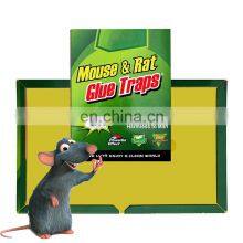 Disposable Feature Rodent Rat Mouse Glue Trap Board Mice Pest Type Rat Glue Pads Mouse Repeller 3 Year All-season MSDS Report