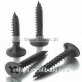 Galvanized Self Tapping Screw m8 Factory China