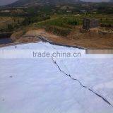 Non-woven Geotextile Fabric for Filtration thumbnail-6