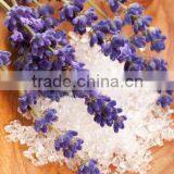 Lavender Canvas Painting Canvas Prints Canvas Photo Prints Canvas Wall Arts Flower Canvas