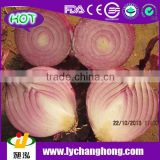 2014 Small Size Onion for India Market