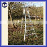 Aluminum tripod /triangle ladder for fruit picking