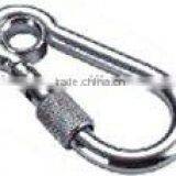 Stainless Steel Snap Hook With Eye and Screw