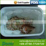 Competitive Price High Quality Picnic Cooler Bag thumbnail-4