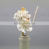Eco-Friendly Feature Reed Diffuser and Air Fresheners Ceramic Bottle Reed Diffuser thumbnail-6