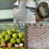 Desiccated Coconut thumbnail-3