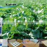 Biological Food Additives for Vegetalbes thumbnail-4