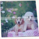 2015 Fashion Photo Printing Designer Cushion Cover/pillow Case thumbnail-6