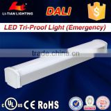 alibaba express 50w led lighting SMD2835 Led Tri-proof Light with 5 year warranty