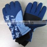 print ski glove