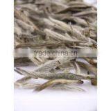 Organic White Tea thumbnail-1