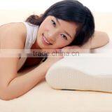 Health Wellness Sleeping Pillow