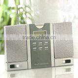 Hot Sale High Quality FM Clock Radio