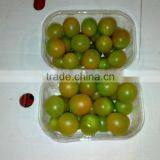 Fresh Tomato thumbnail-6