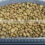 Australian Faba Beans, Fava Beans, Vicia Faba thumbnail-2